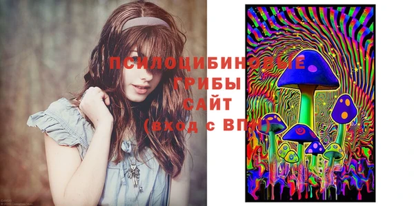 бошки Переславль-Залесский