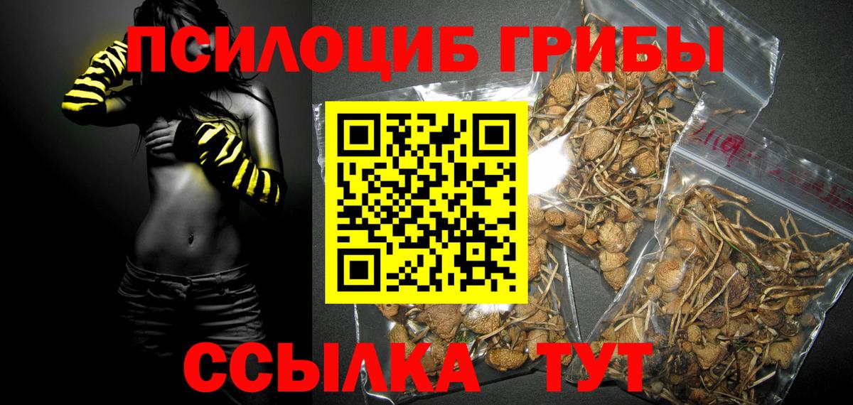 Лосино-Петровский  Галлюциногенные грибы мухоморы  Галлюциногенные грибы мухоморы  где можно купить   Вход с VPN 