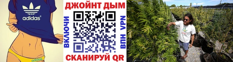Каннабис SATIVA & INDICA  купить наркотики сайты  дарк нет состав  Лосино-Петровский 